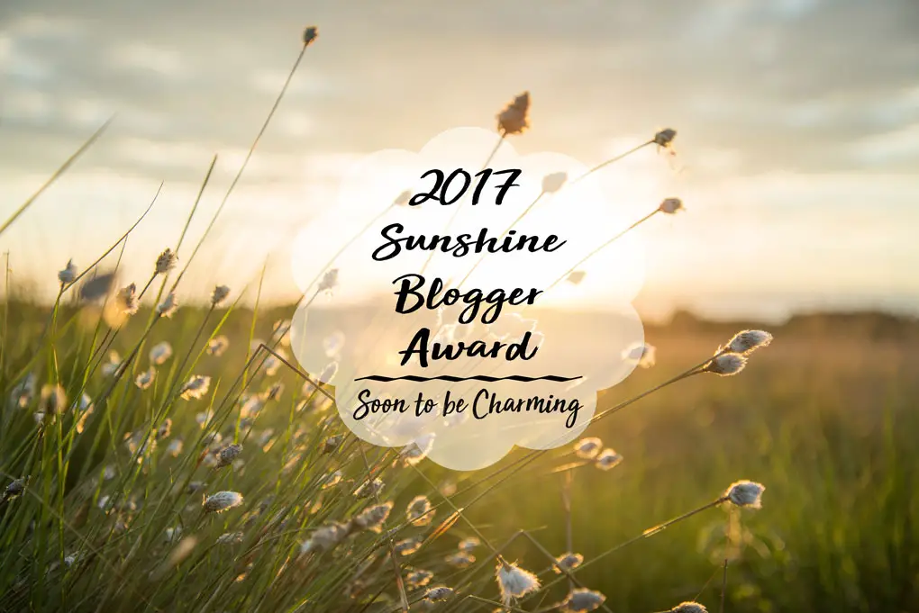 2017 Sunshine Blogger Award