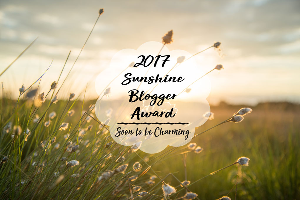 2017 Sunshine Blogger Award