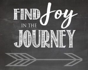 Find Joy in the Journey