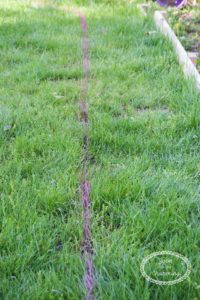 shaping and edging flowerbeds