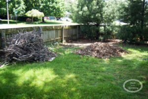 Landscape Project Part 4: Woodchips