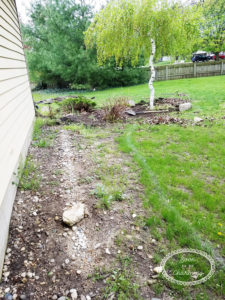 Landscaping Part 1: Where To Start?