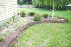 creating flowerbeds