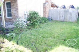 shaping and edging flowerbeds