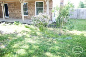 Shaping and Edging flowerbeds