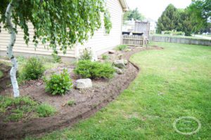 edging flowerbeds