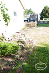 shaping and edging flowerbeds