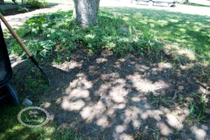 Landscape Project Part 3: Preparing the Flowerbeds and Woodchips