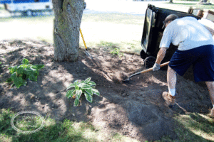 Landscape Project Part 3: Preparing the Flowerbeds