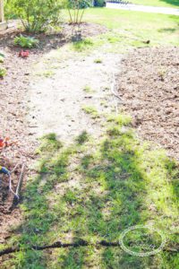 laying a flagstone pathway