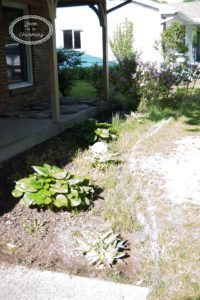 Landscape Project Part 2: Shaping and Edging Flowerbeds