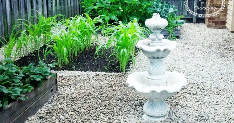 5 Things To Consider When Starting a Garden