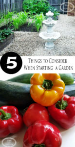 5 Things to Consider When Starting a Garden