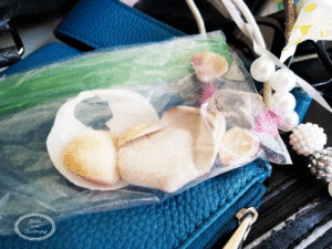 seashells in my purse