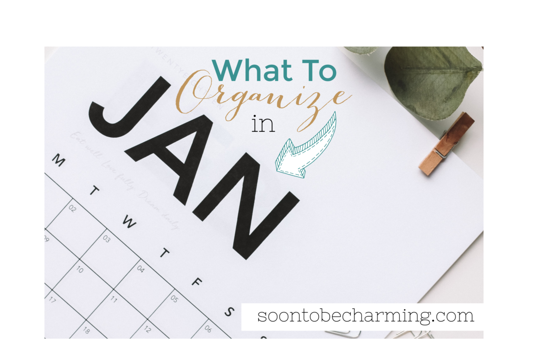 What To Organize in January