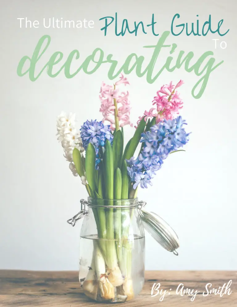 The Ultimate Plant Guide To Decorating