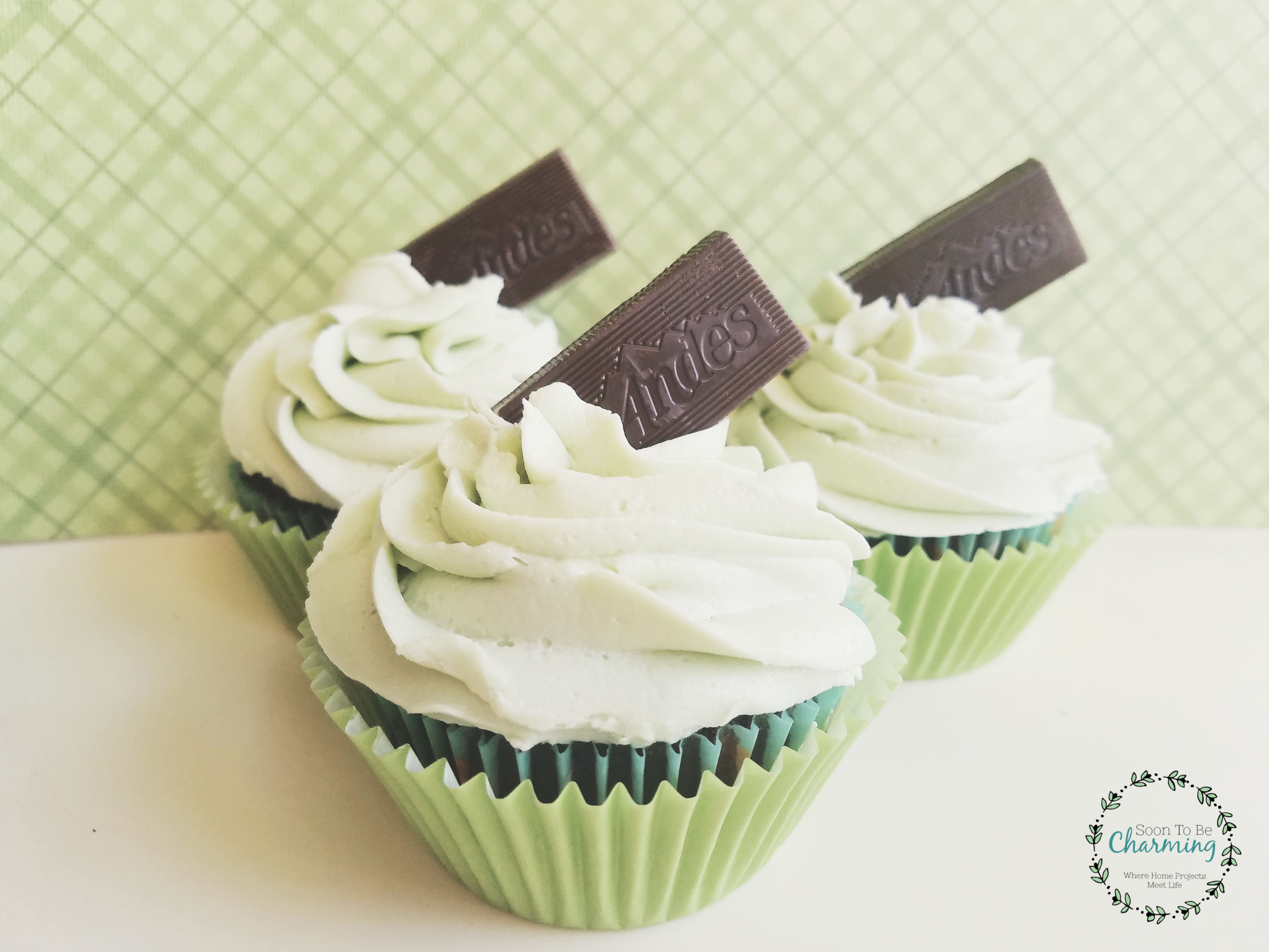 Easy Chocolate Cupcakes with Mint Buttercream Frosting