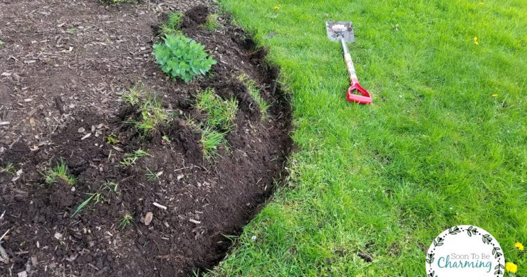 Clean Up Your Flowerbeds in 4 Simple Steps