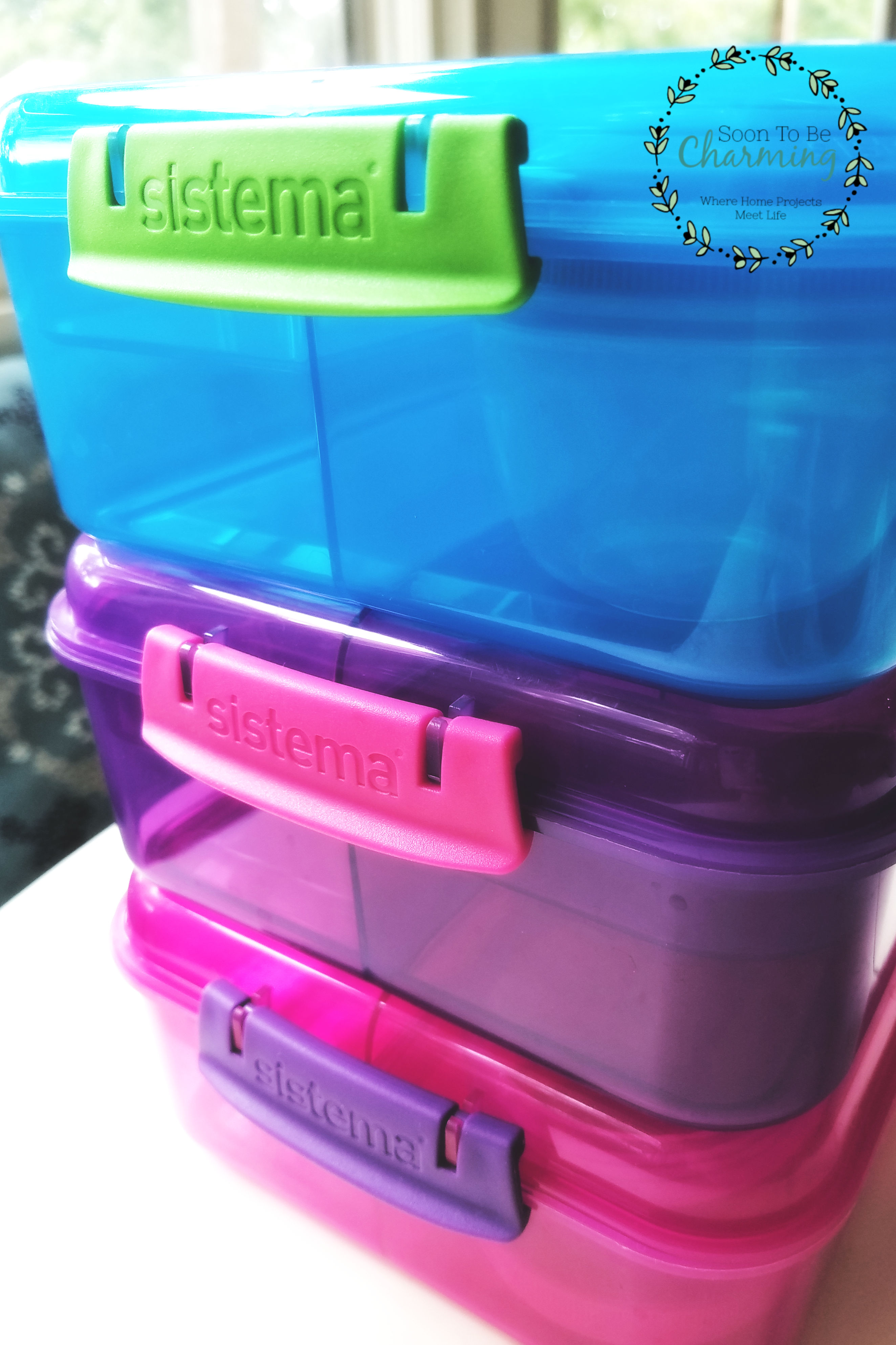 Should I Buy School Lunch Containers? - Soon To Be Charming