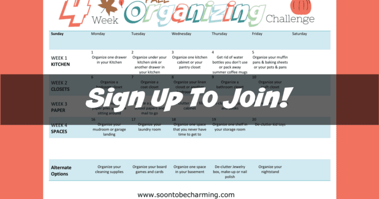 4 Week Fall Organizing Challenge