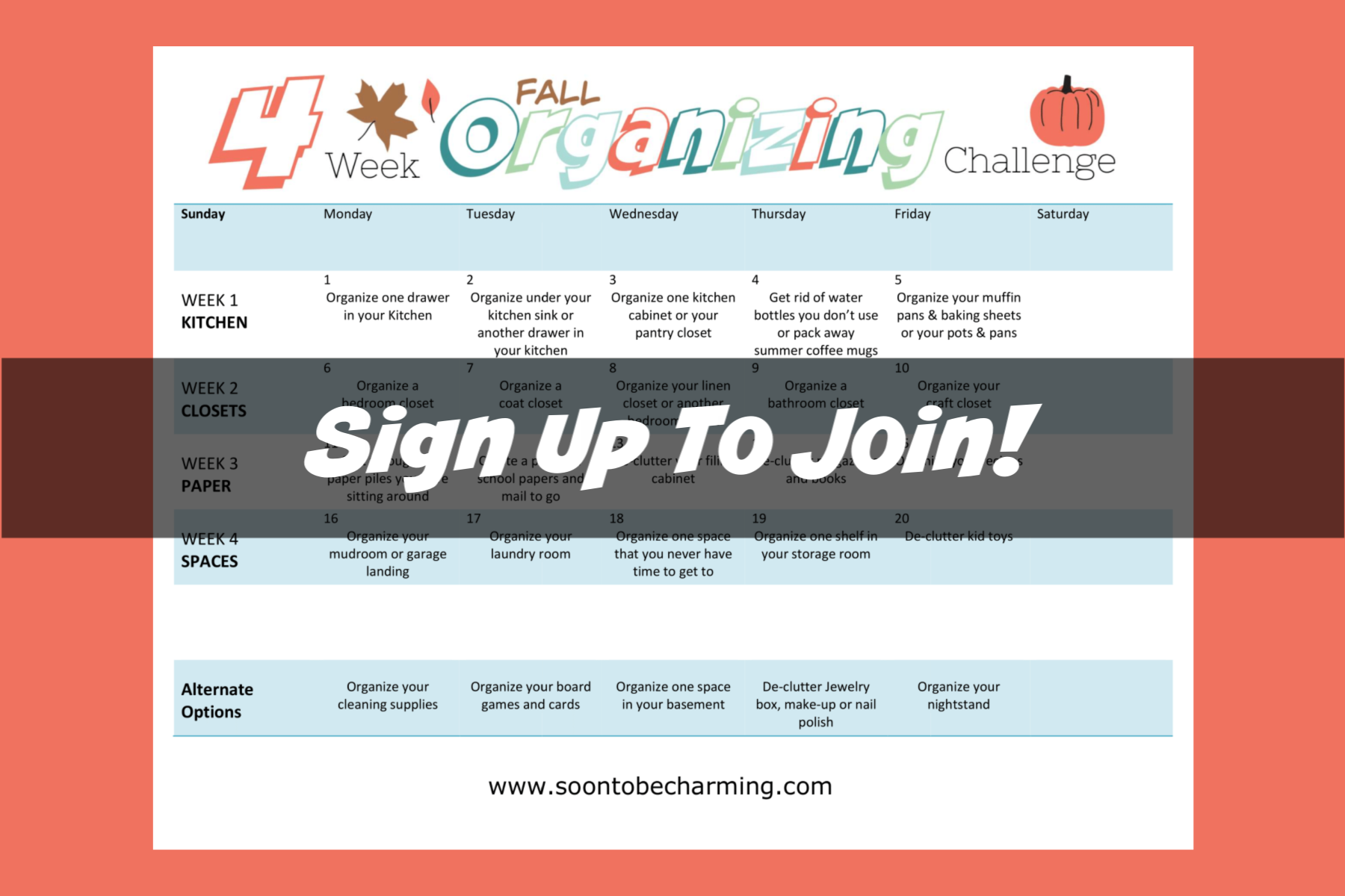 4 Week Fall Organizing Challenge
