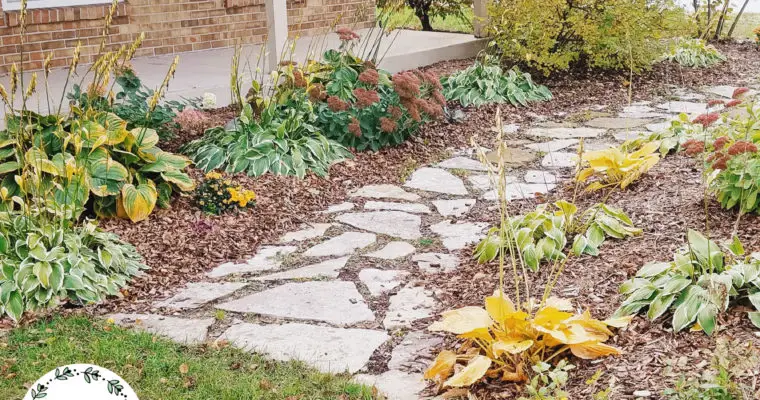 How To Improve Your Landscaping