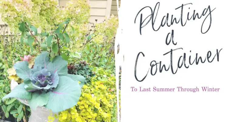Planting A Container To Last Summer Through Winter