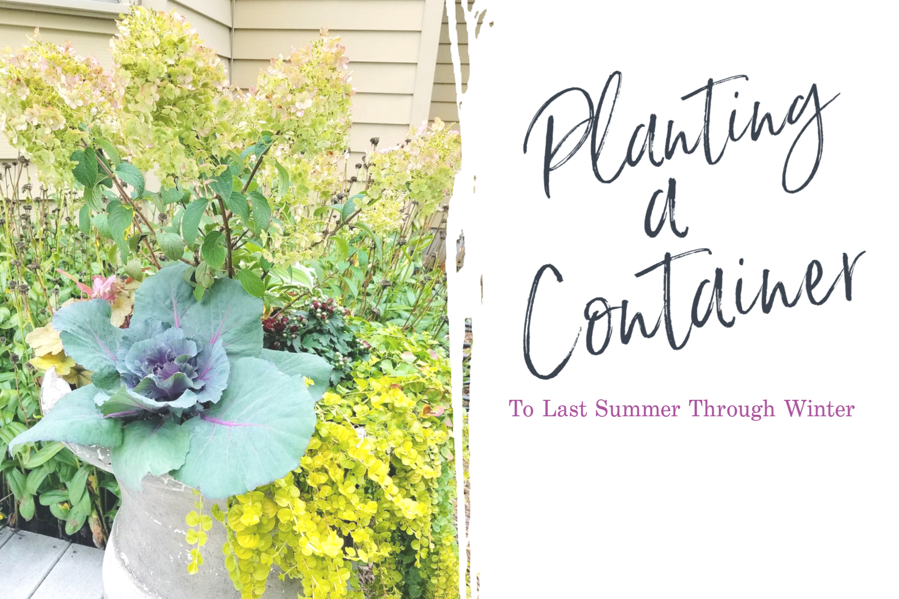 Planting A Container To Last Summer Through Winter