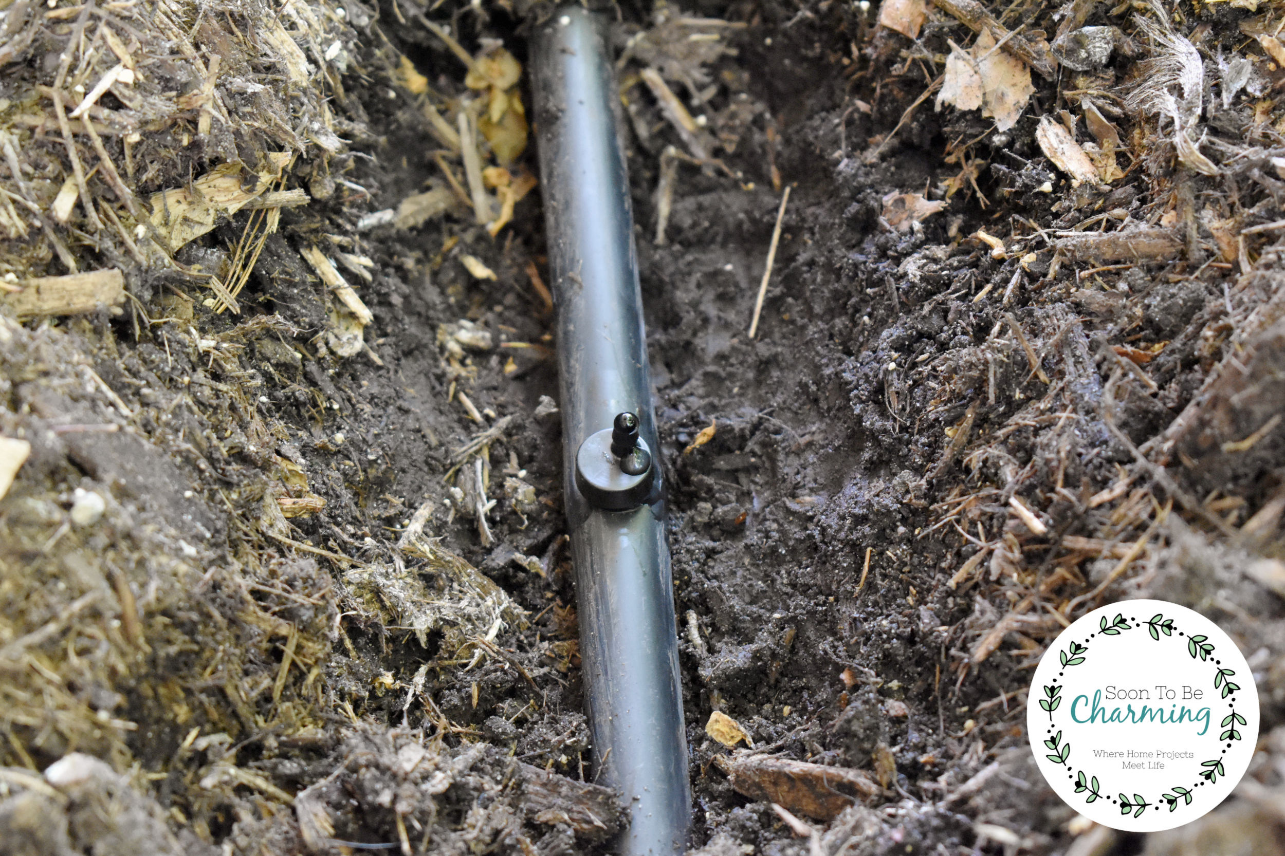 5 Reasons To Install Drip line Irrigation