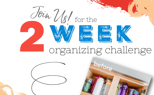 2 Week Fall Organizing Challenge 2021