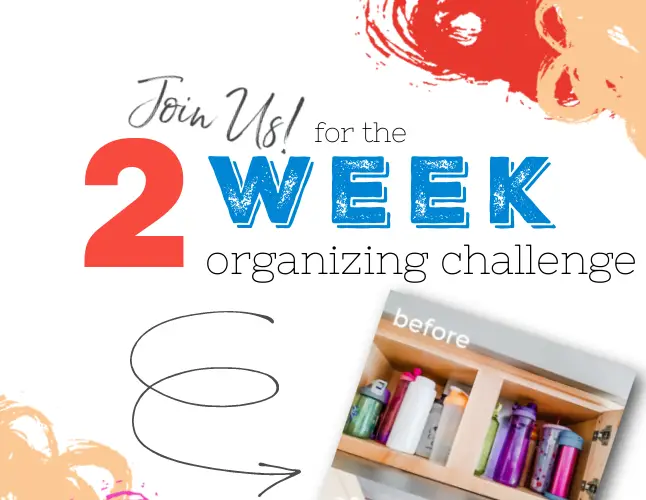 2 Week Fall Organizing Challenge 2021