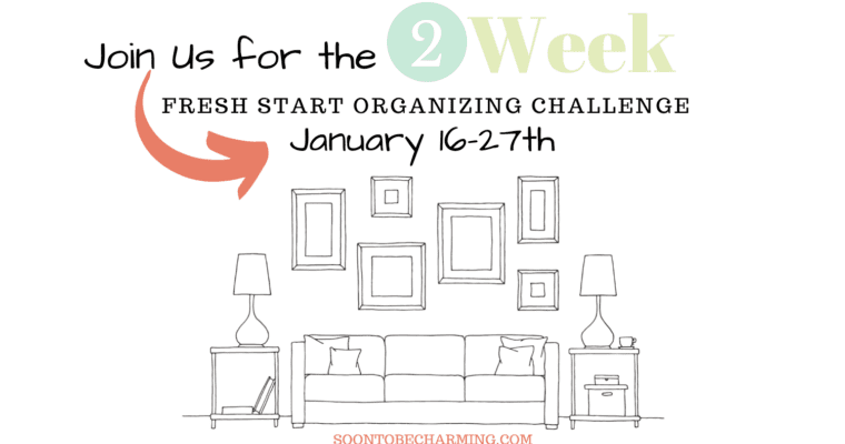 2023 Fresh Start Organizing Challenge